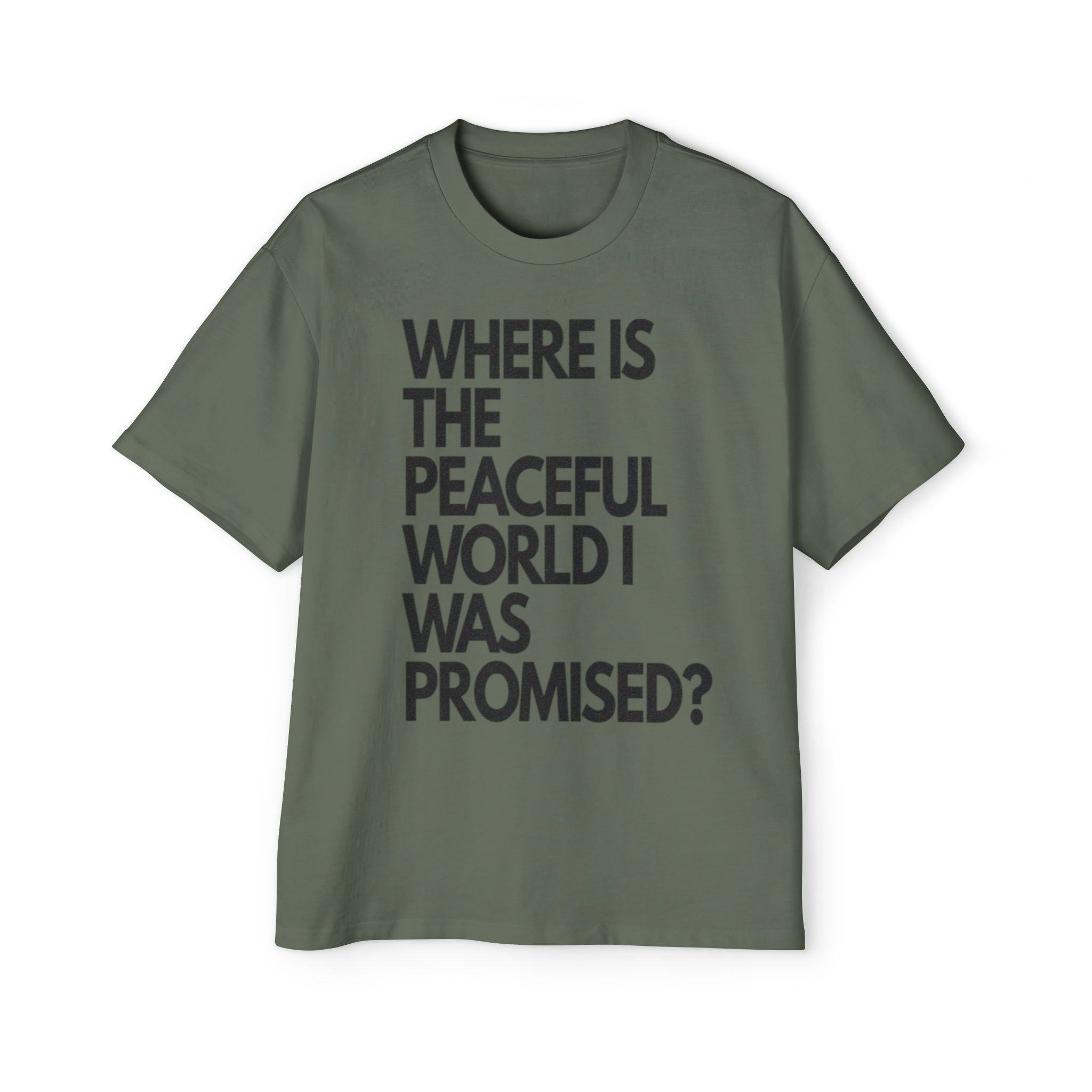 THE WORLD I WAS PROMISED Men's Heavy Oversized Tee